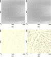 [Figure 4]