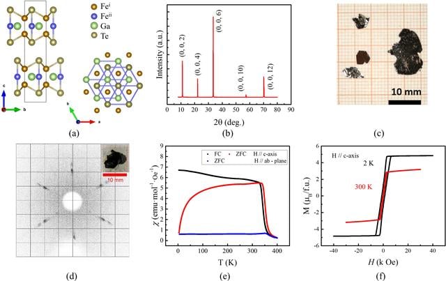 [Figure 1]