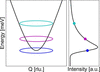 [Figure 1]