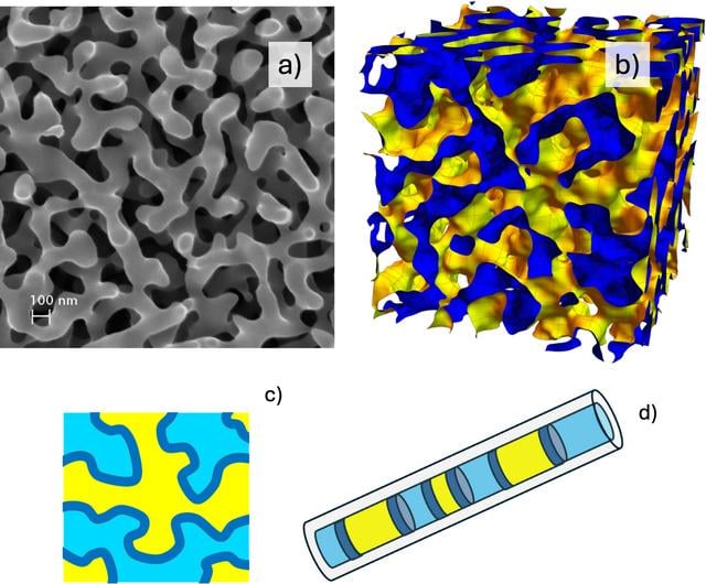[Figure 1]