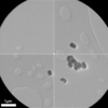 [Figure 4]