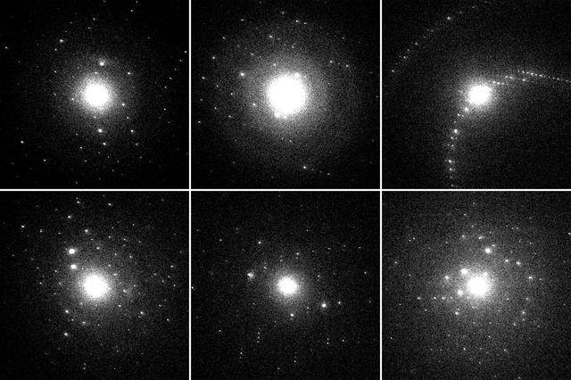 [Figure 5]