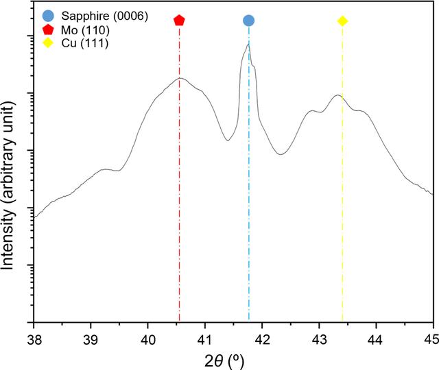 [Figure 1]