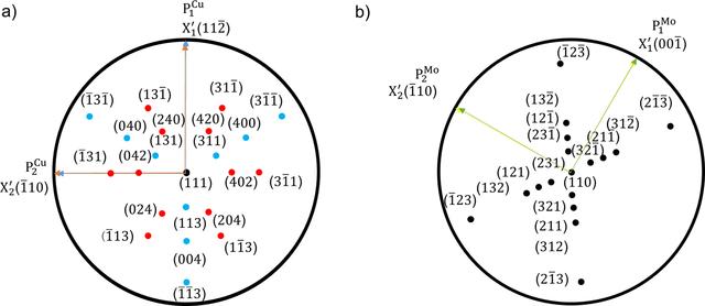 [Figure 7]