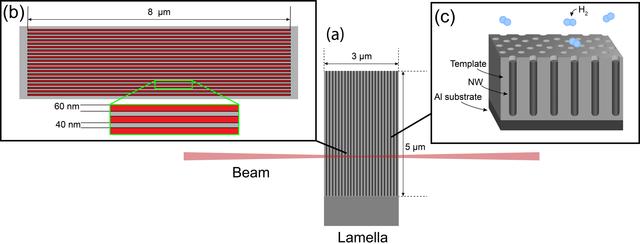[Figure 1]