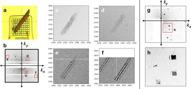 [Figure 5]
