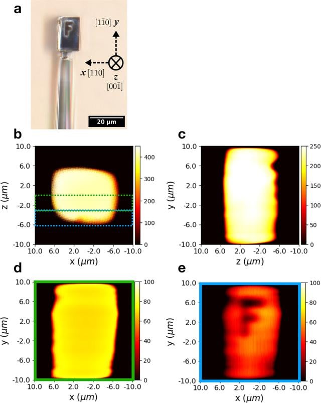 [Figure 6]