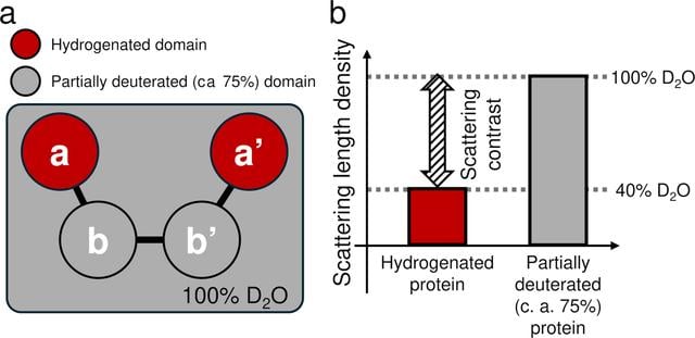 [Figure 1]