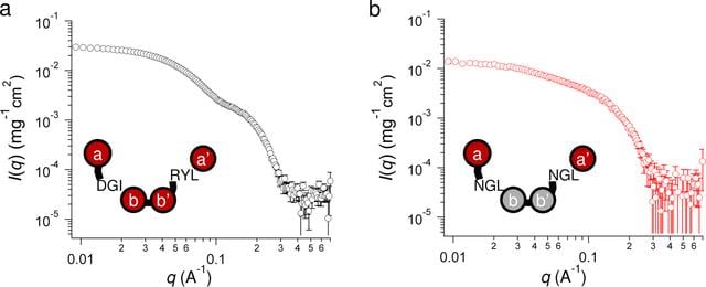 [Figure 4]