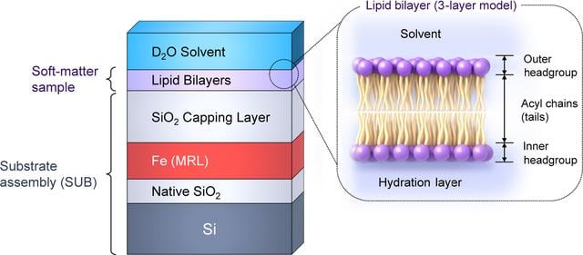 [Figure 1]