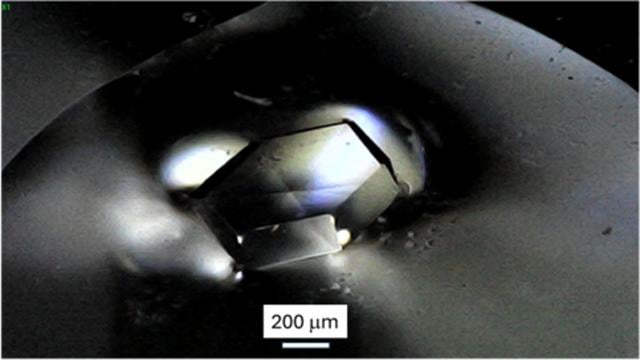 [Figure 10]