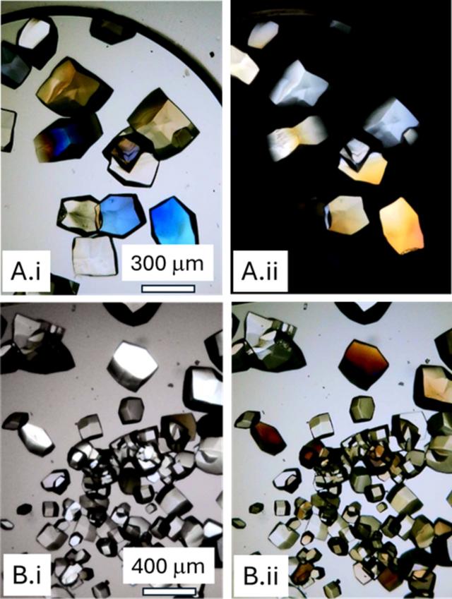 [Figure 11]