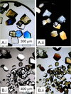 [Figure 11]