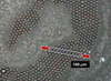 [Figure 2]
