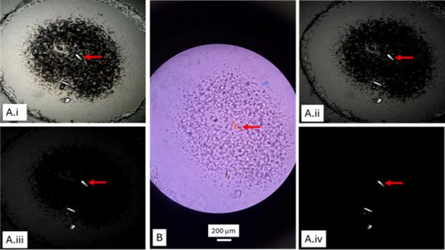 [Figure 7]