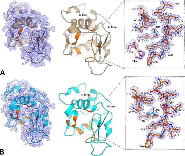 [Figure 9]