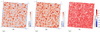 [Figure 3]