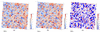 [Figure 4]
