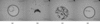 [Figure 7]