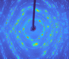 [Figure 12]