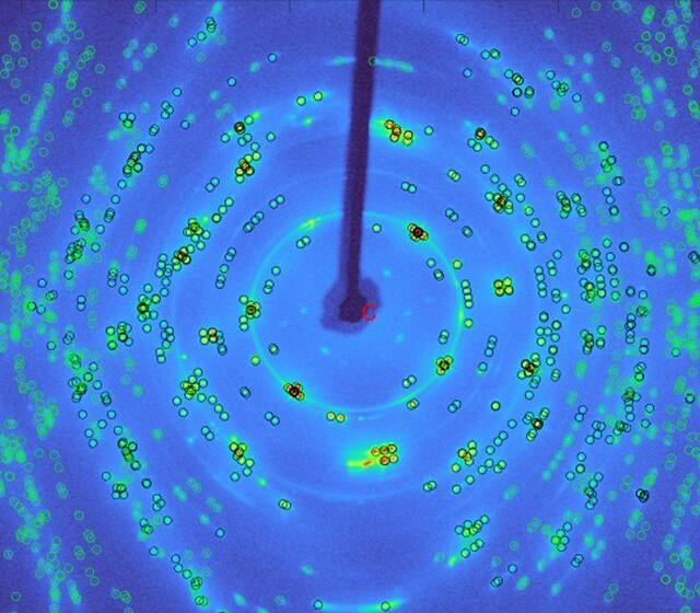 [Figure 13]