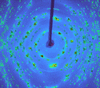 [Figure 13]