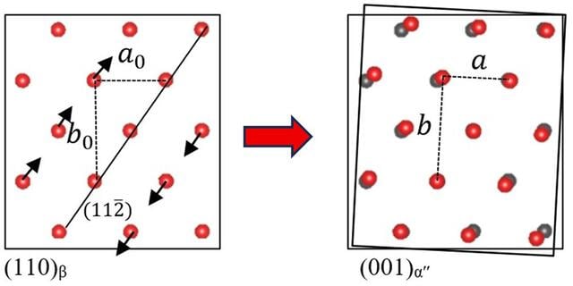 [Figure 8]