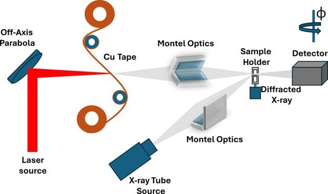 [Figure 1]