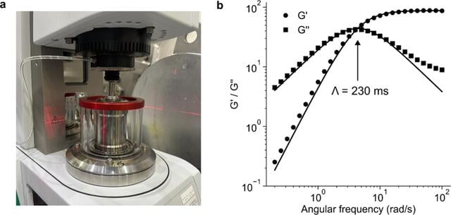 [Figure 2]