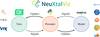 link to html