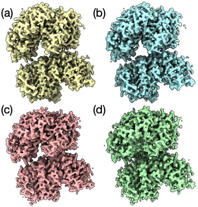 [Figure 11]