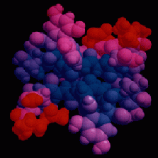 Highlighted illustration