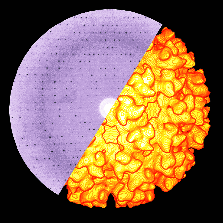 Highlighted illustration