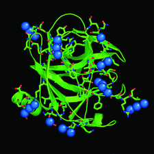 Highlighted illustration