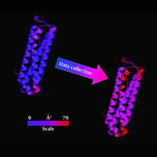 Highlighted illustration