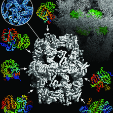 Highlighted illustration