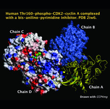 Highlighted illustration