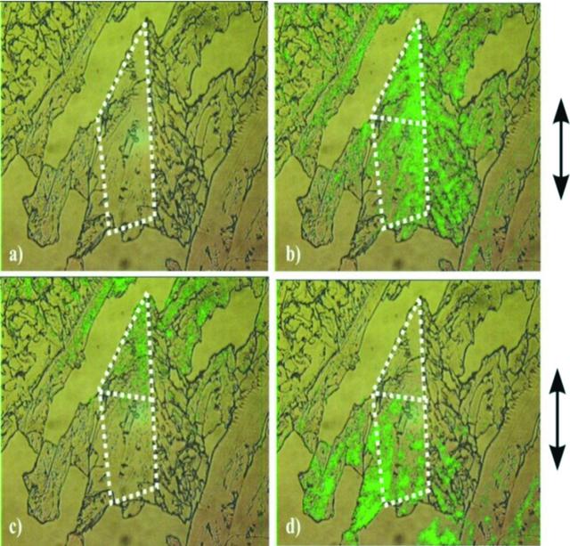 [Figure 3]