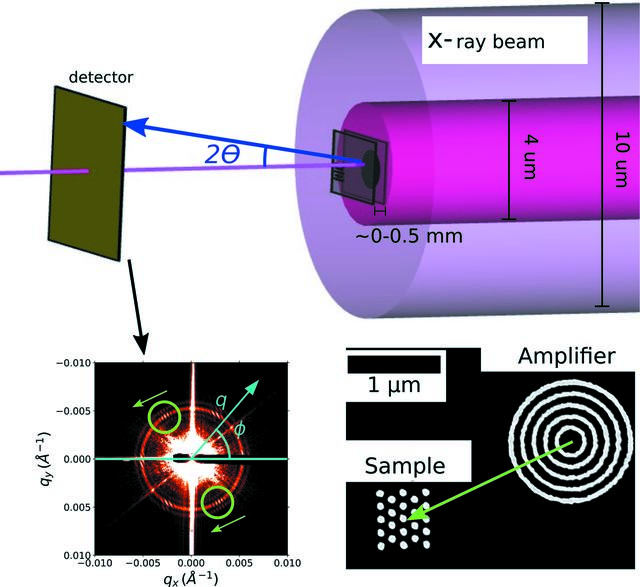 [Figure 1]