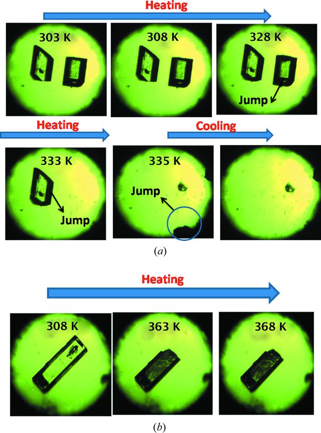 [Figure 1]