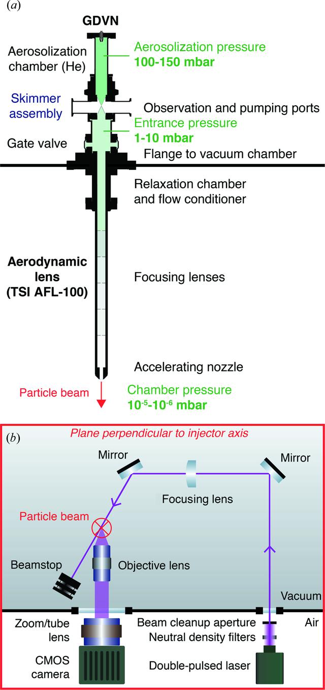 [Figure 1]