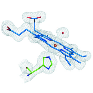 Iucr Dose Resolved Serial Synchrotron And Xfel Structures Of Radiation Sensitive Metalloproteins