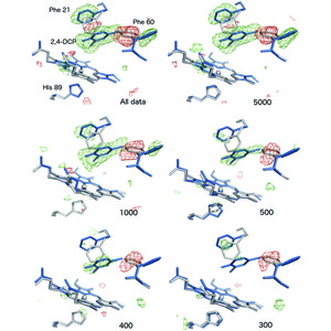 Iucr High Throughput Structures Of Protein Ligand Complexes At Room Temperature Using Serial Femtosecond Crystallography