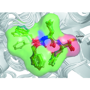 Iucr Crystallographic Models Of Sars Cov 2 3clpro In Depth Assessment Of Structure Quality And Validation