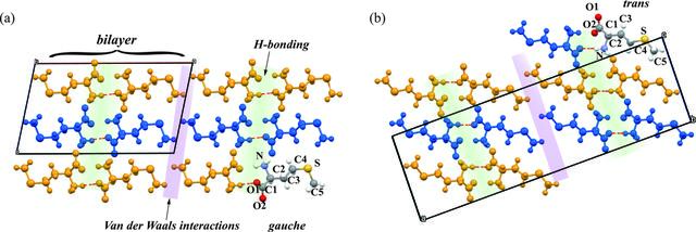 [Figure 1]