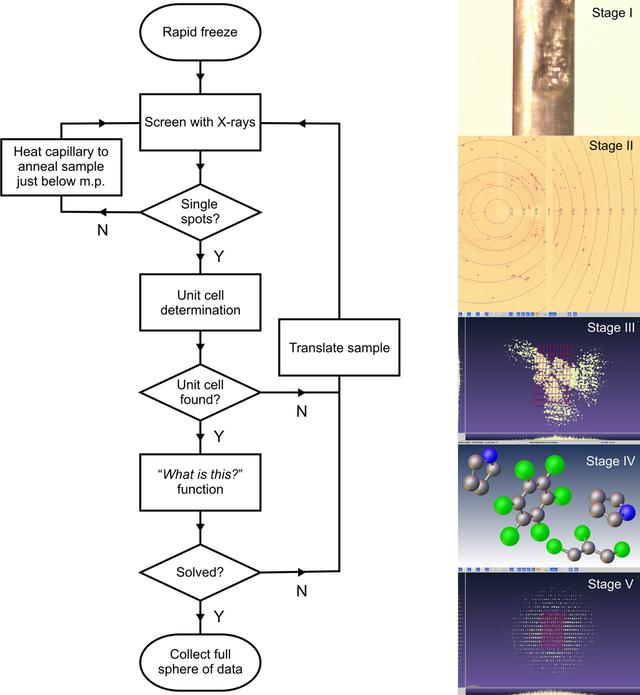 [Figure 1]