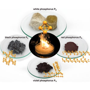 (IUCr) A new polymorph of white phospho­rus at ambient conditions