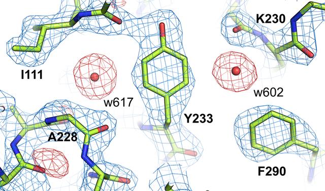 [Figure 5]