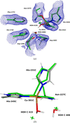 [Figure 5]