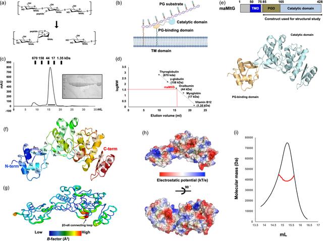 [Figure 1]